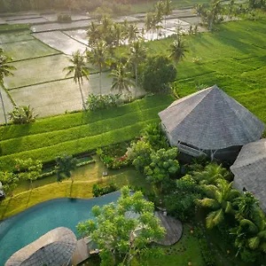 Thewakanda A Pramana Experience أوبود